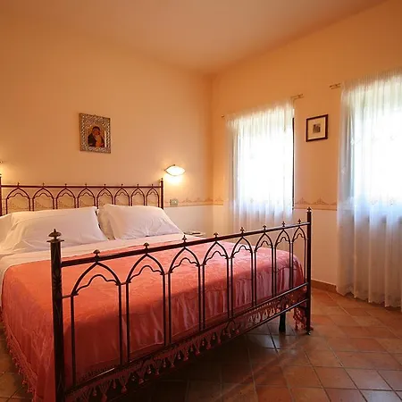 Rosy Assisi