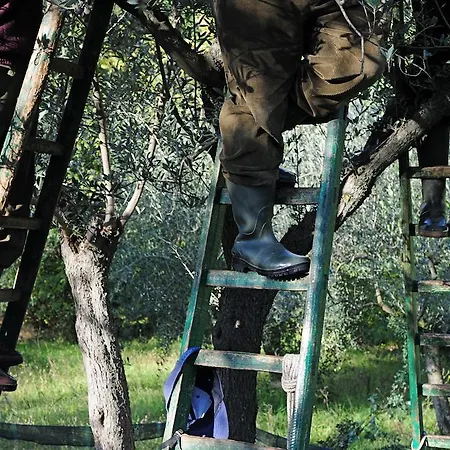 Alloggio per agriturismo Rosy *
