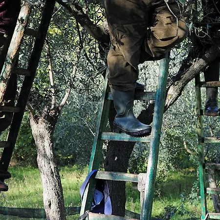 Alloggio per agriturismo Rosy *