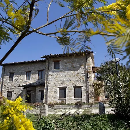 Rosy * Assisi