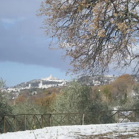 Feriegård Rosy Assisi