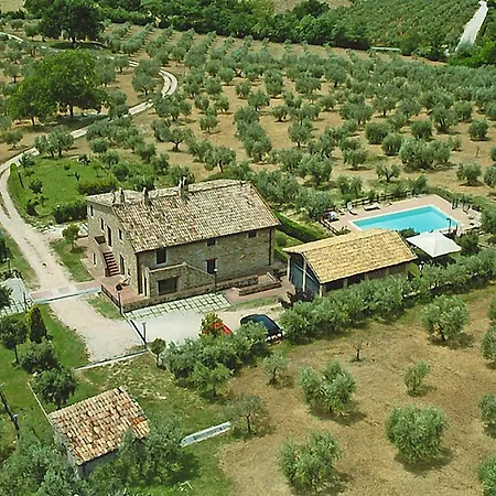Rosy * Assisi