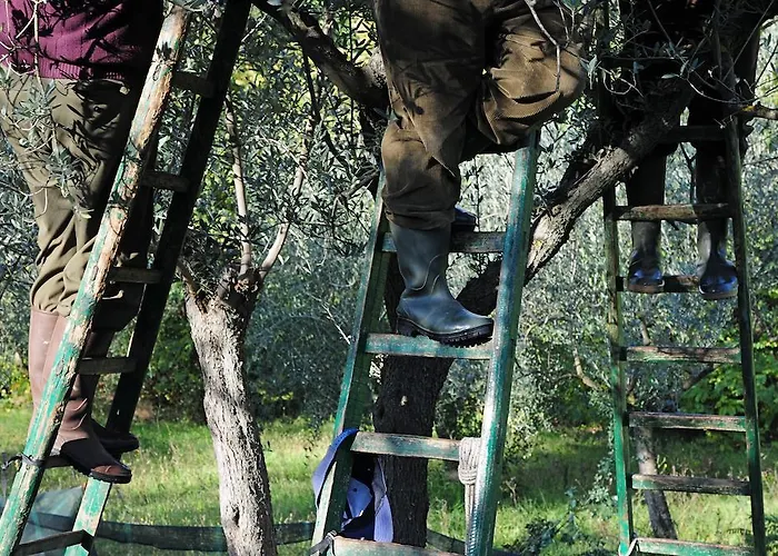Séjour à la ferme Rosy *