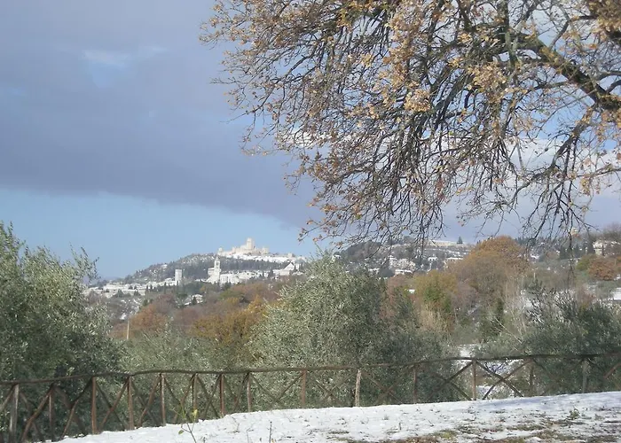 Alloggio per agriturismo Rosy Assisi